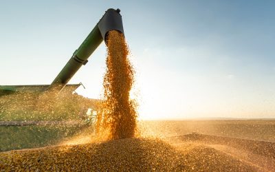 Kombajni s GPS sustavima – precizna žetva bez greške